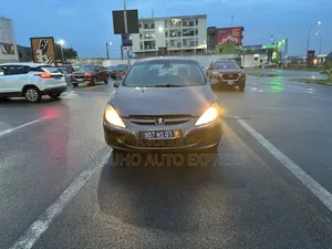 Peugeot 307 2003 Gris