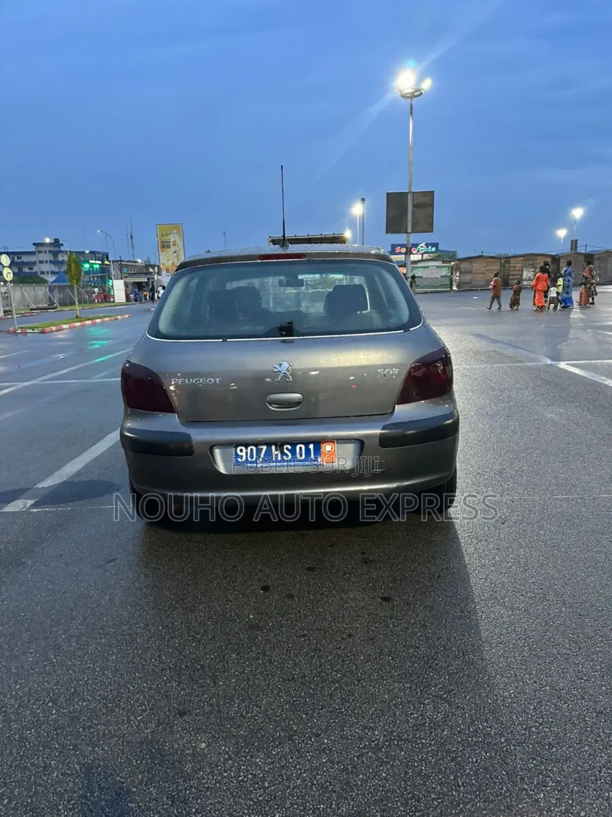 Peugeot 307 2003 Gris