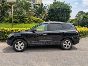 Hyundai Santa Fe 2007 Noir