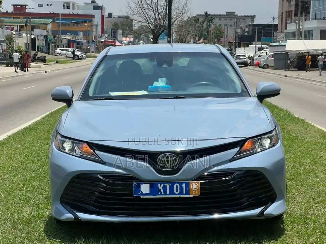 Toyota Camry 2019 Gris