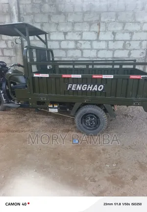 Nouveau Tricycle Ihemas 2020 Marron