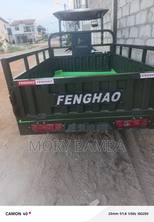Nouveau Tricycle Ihemas 2020 Marron