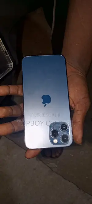 Apple iPhone 12 Pro Max 256 GB Bleu