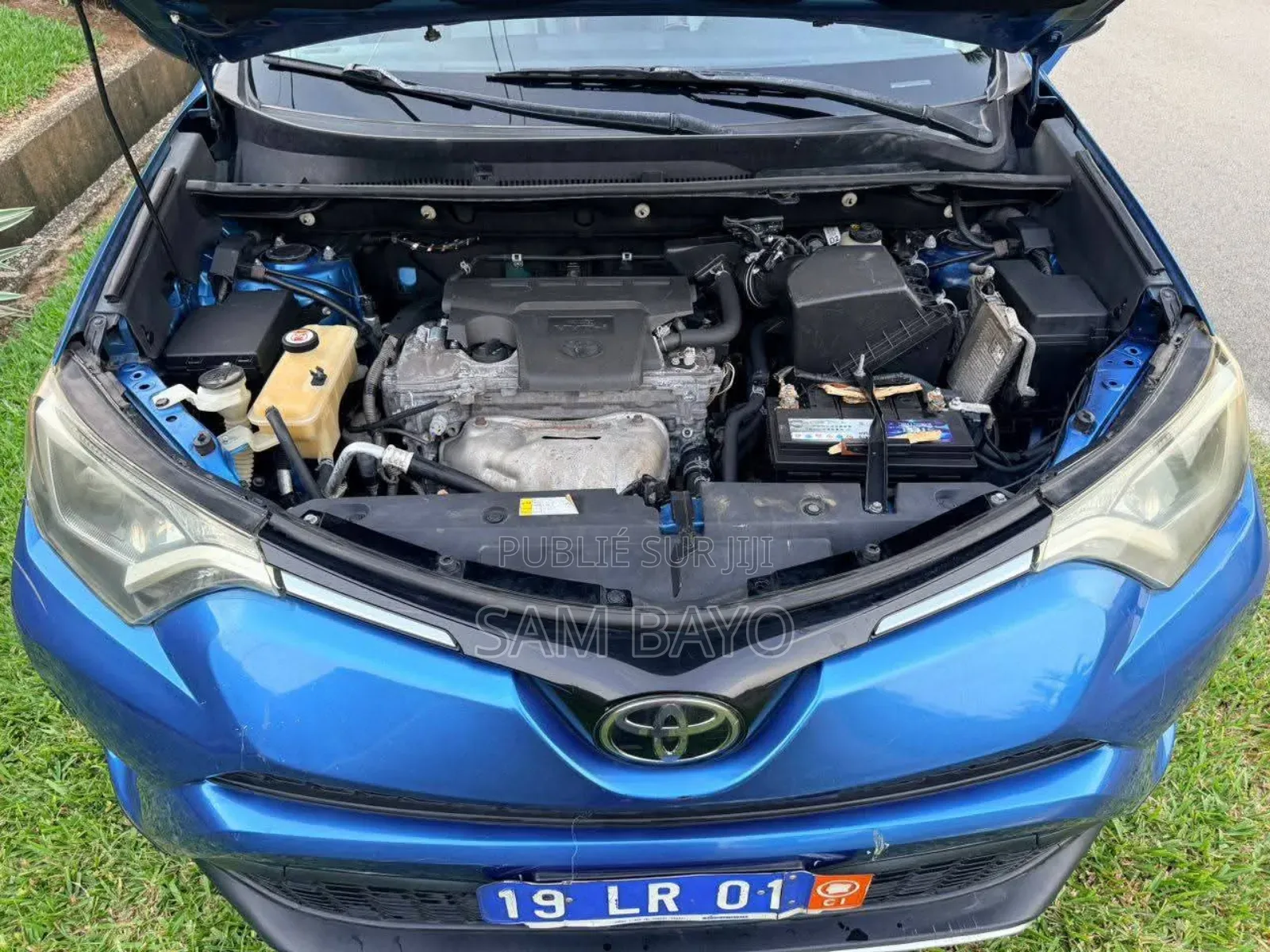 Toyota RAV4 2017 Bleu