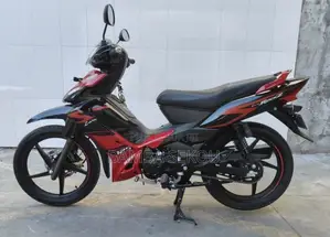 Nouveau TVS Rockz 125 2025 Blanc