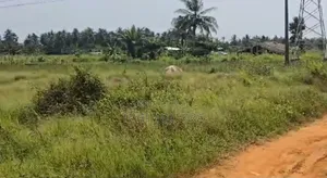 À Vendre Terrain 501m2 Bassam Yaou