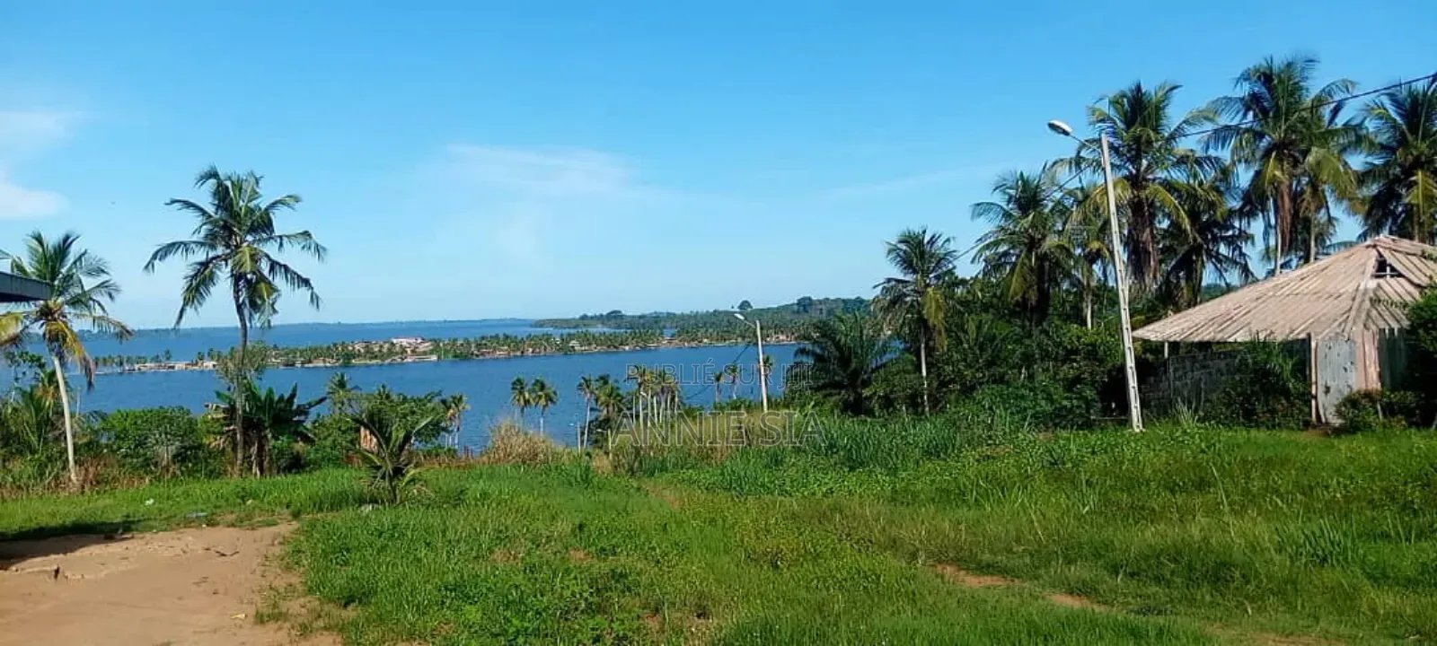 2 Hectares a Vendre Documents Attestation Villageoise Prix 50 Millions