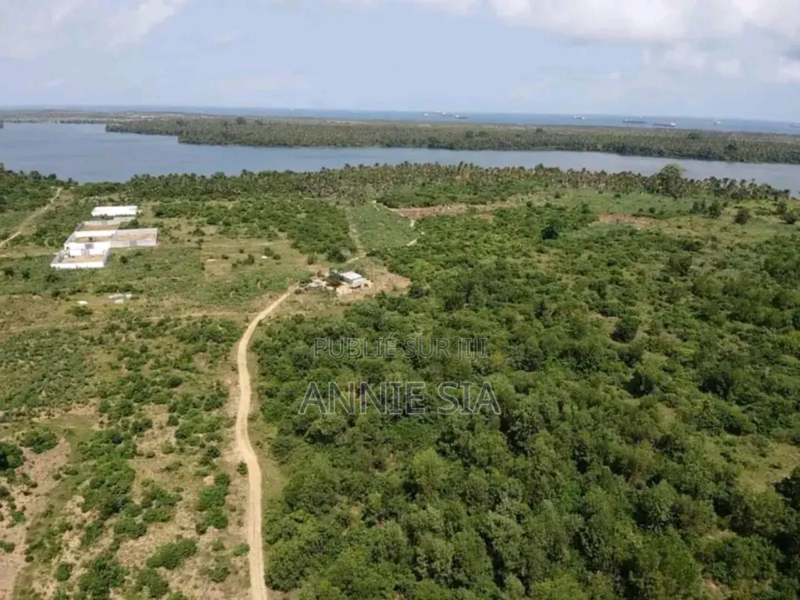 2 Hectares a Vendre Documents Attestation Villageoise Prix 50 Millions
