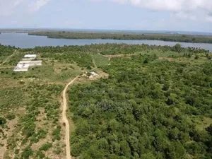 2 Hectares a Vendre Documents Attestation Villageoise Prix 50 Millions