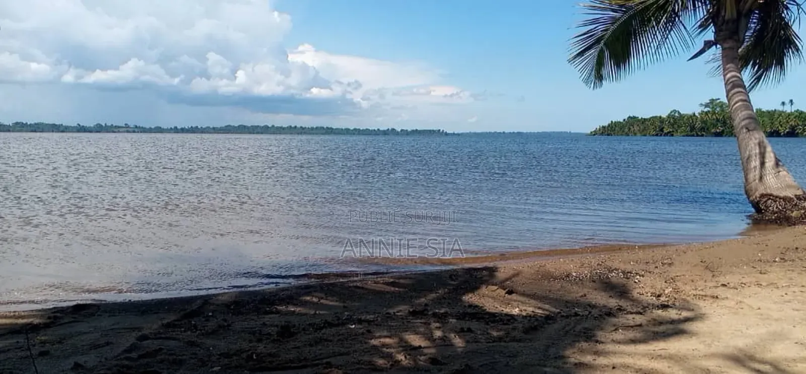 2 Hectares a Vendre Documents Attestation Villageoise Prix 50 Millions