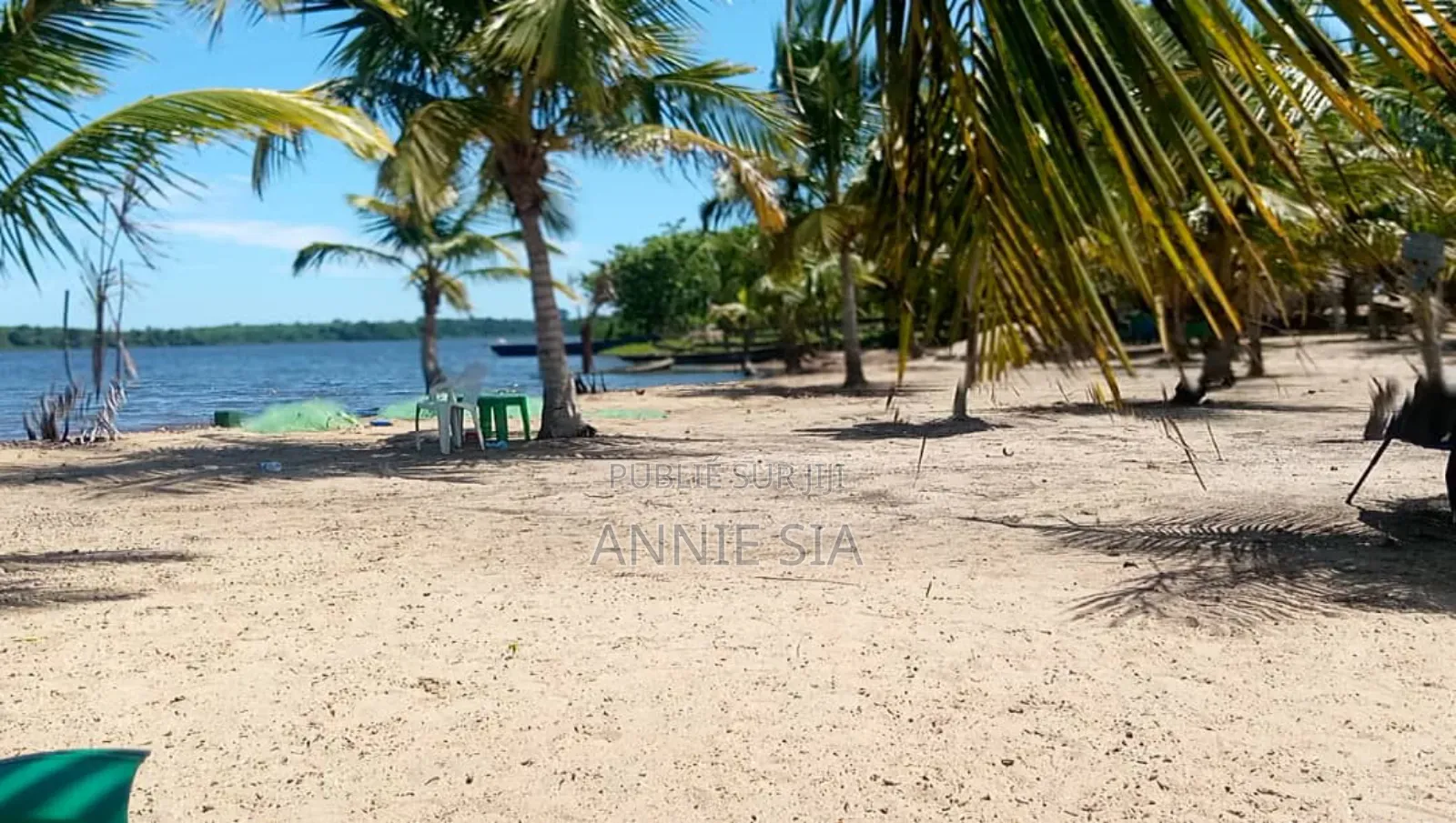 2 Hectares a Vendre Documents Attestation Villageoise Prix 50 Millions