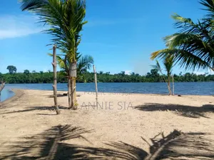 2 Hectares a Vendre Documents Attestation Villageoise Prix 50 Millions