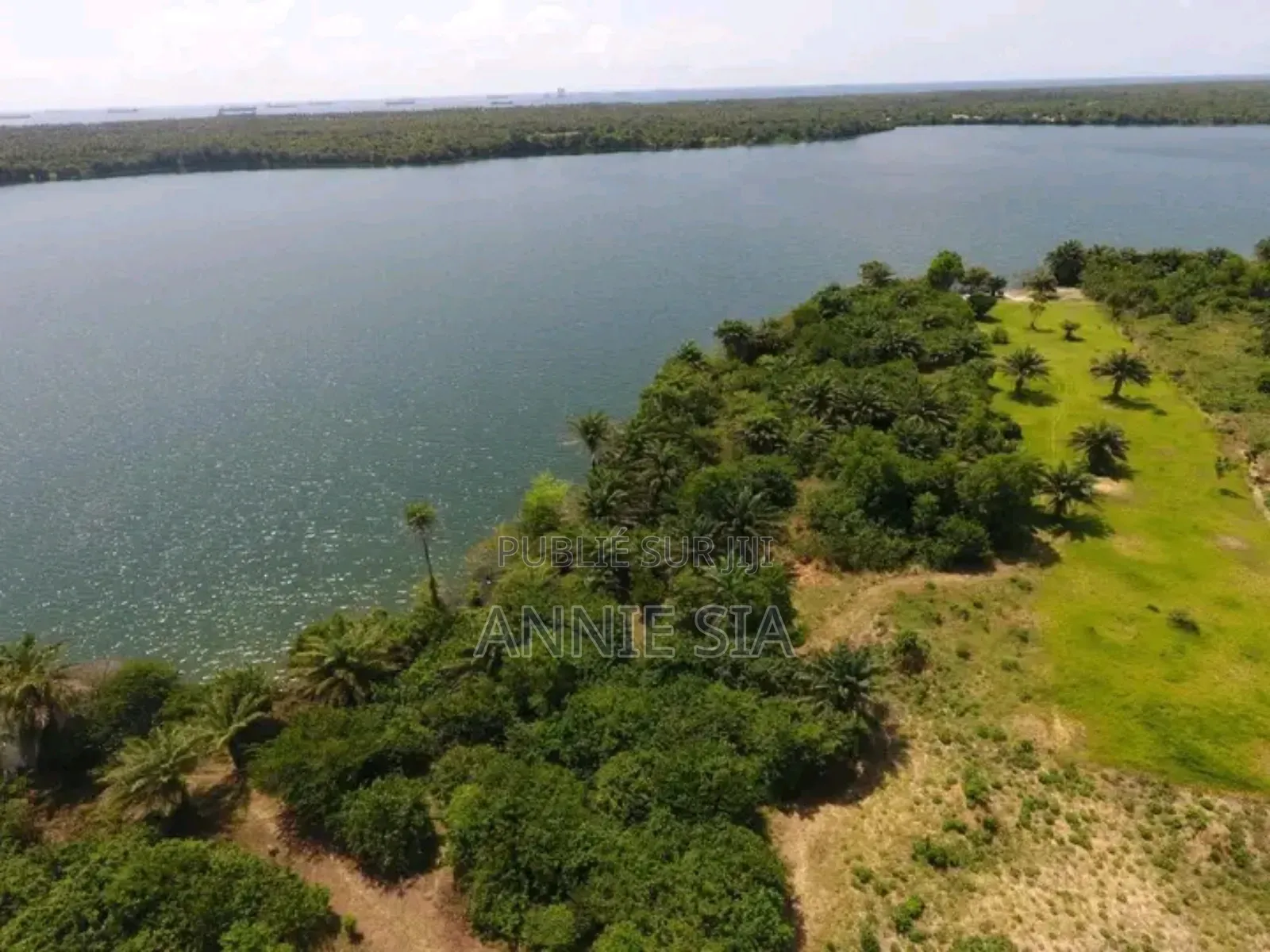 2 Hectares a Vendre Documents Attestation Villageoise Prix 50 Millions