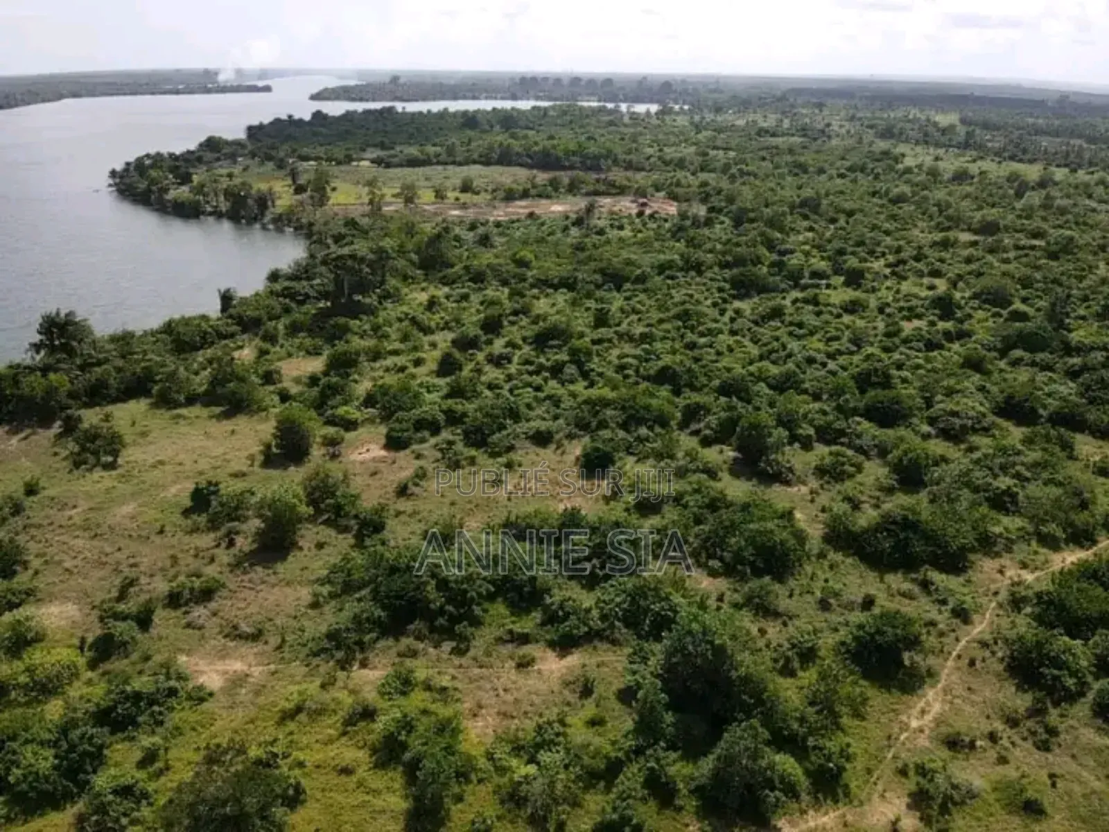 2 Hectares a Vendre Documents Attestation Villageoise Prix 50 Millions