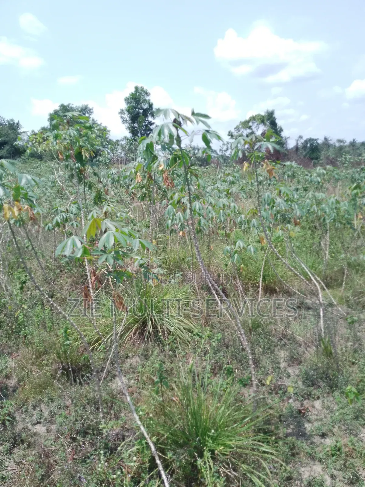 Terrain en Vente