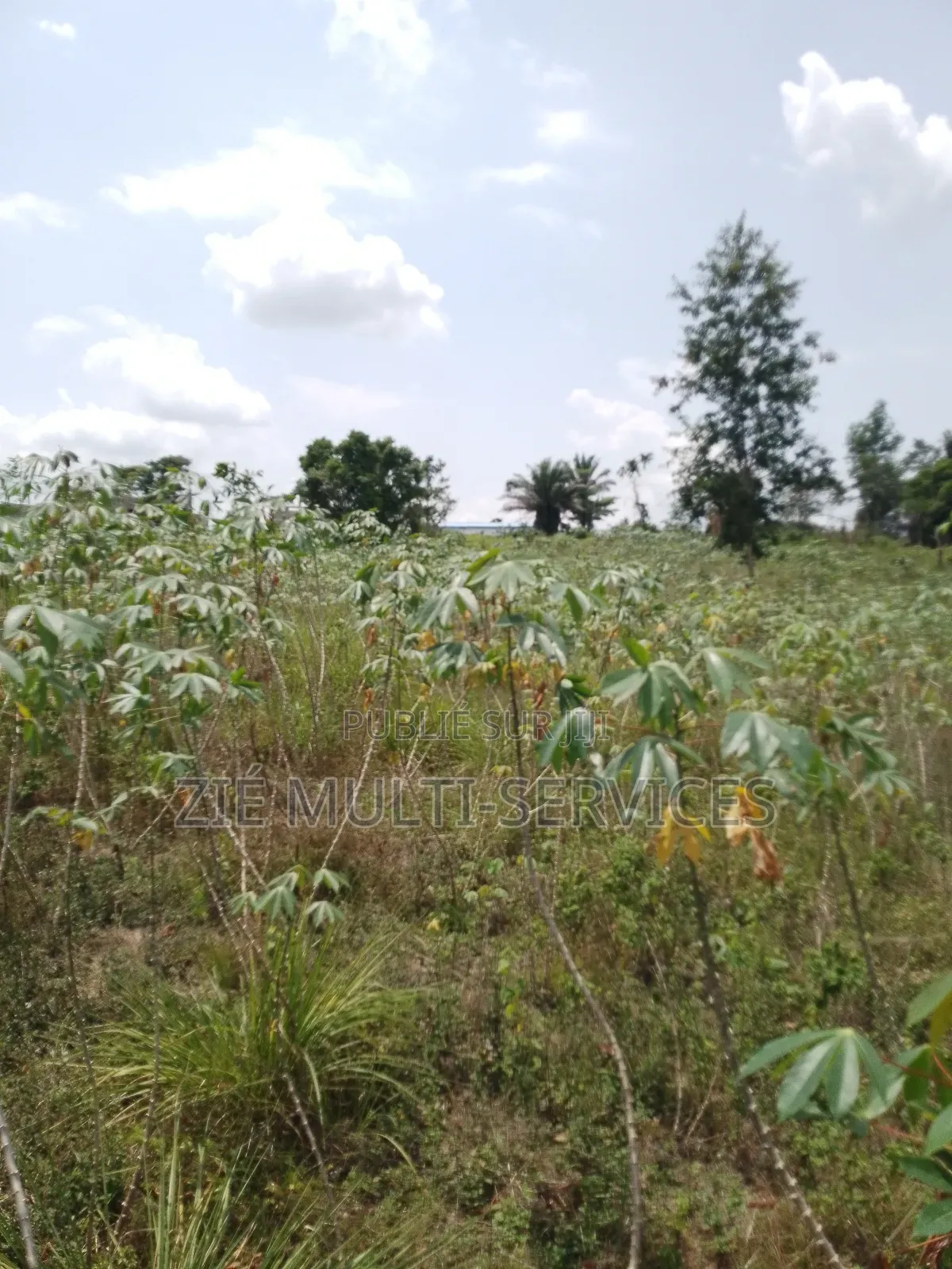 Terrain en Vente