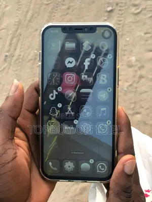 Apple iPhone 12 Pro Max 256 GB Bleu