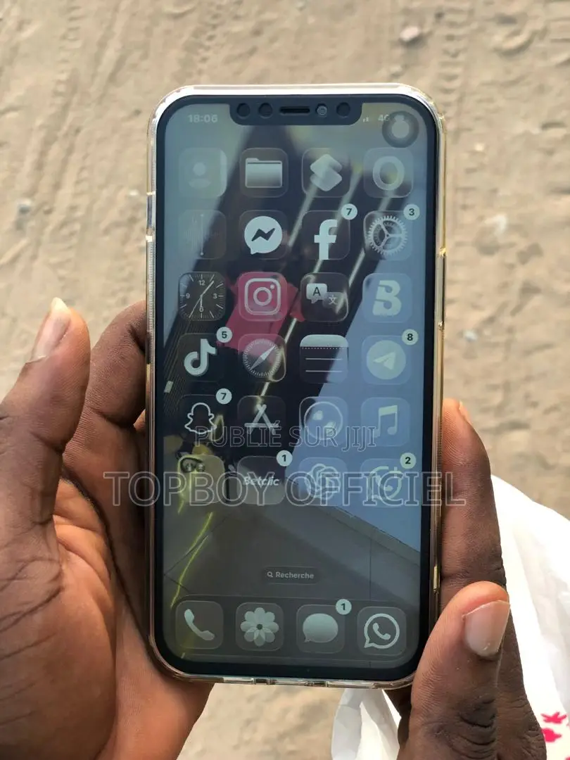 Apple iPhone 12 Pro Max 256 GB Bleu