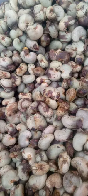 Nous Avons 5000 Tonnes De Noix De Cajou Brute Disponible En Stock