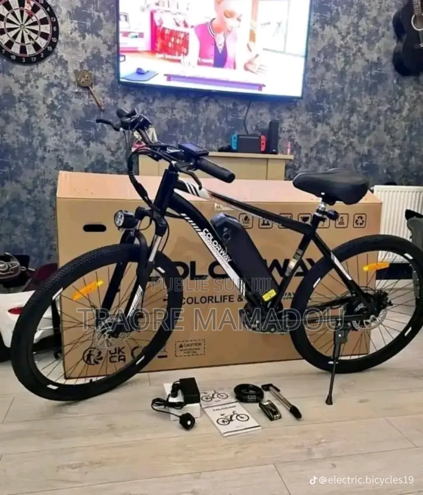 Vélo Électrique