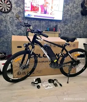 Vélo Électrique
