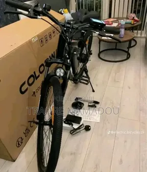 Vélo Électrique