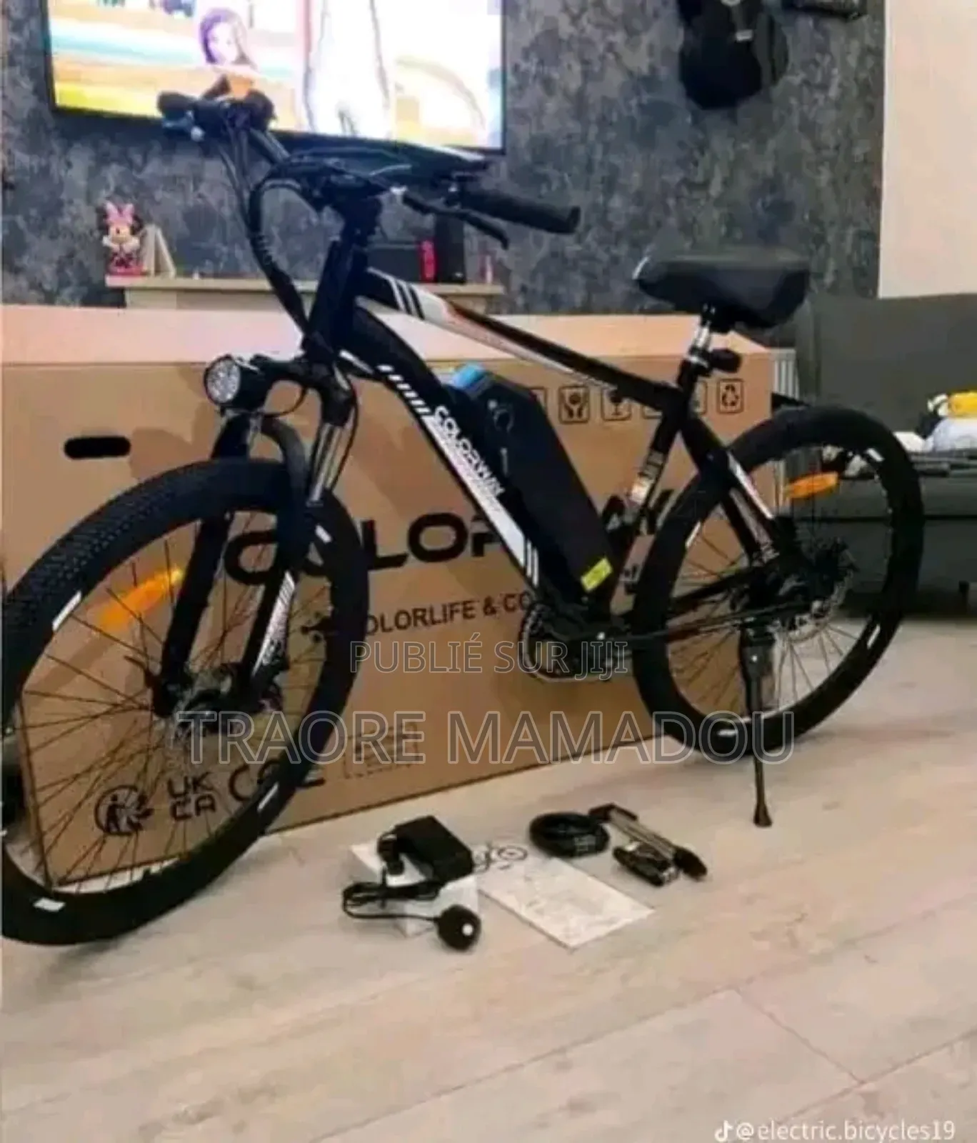 Vélo Électrique