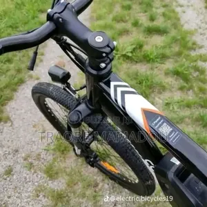 Vélo Électrique