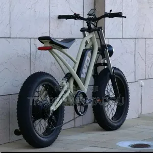 Vélo Électrique