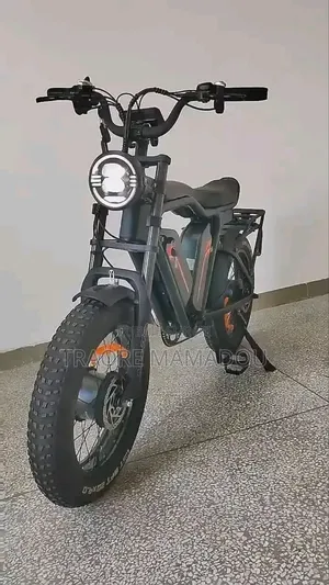 Vélo Électrique