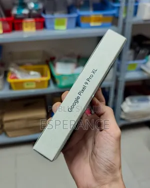 Nouveau Google Pixel 9 Pro XL 256 GB Gris