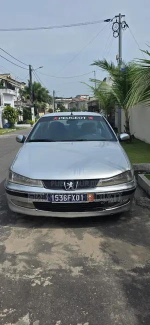 Peugeot 406 2002 Gris