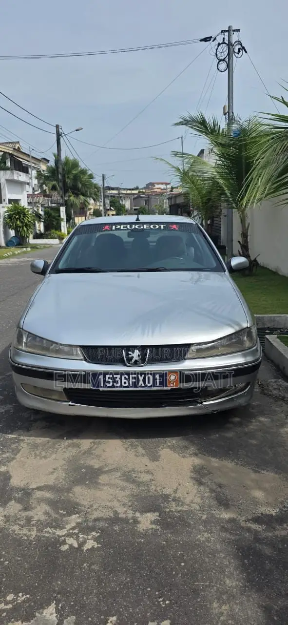 Peugeot 406 2002 Gris