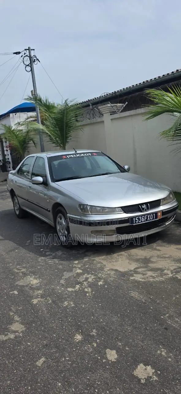 Peugeot 406 2002 Gris