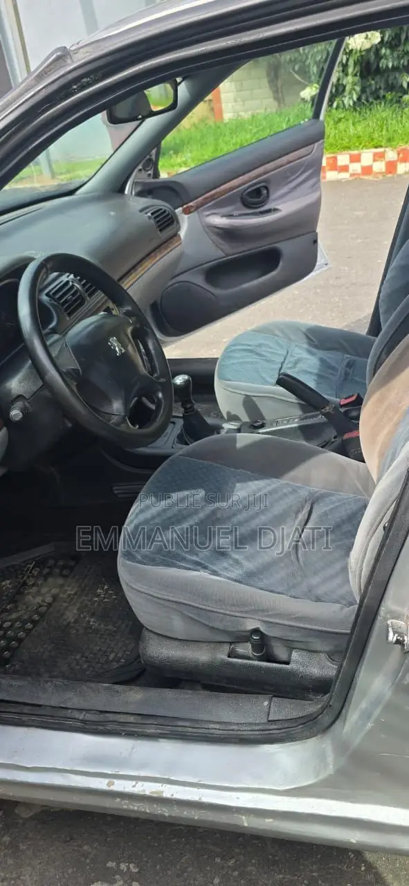 Peugeot 406 2002 Gris