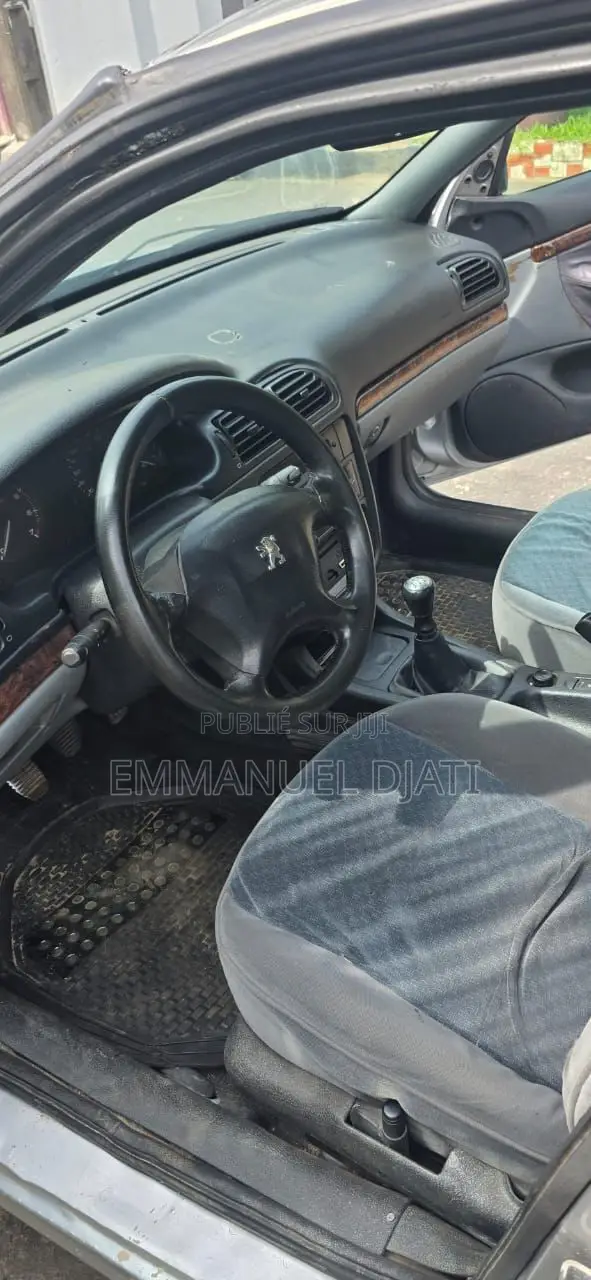 Peugeot 406 2002 Gris