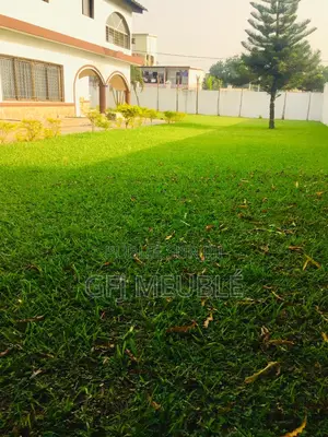 Meublé 4chbre Duplex dans Gfj Meublé, Cocody à Louer