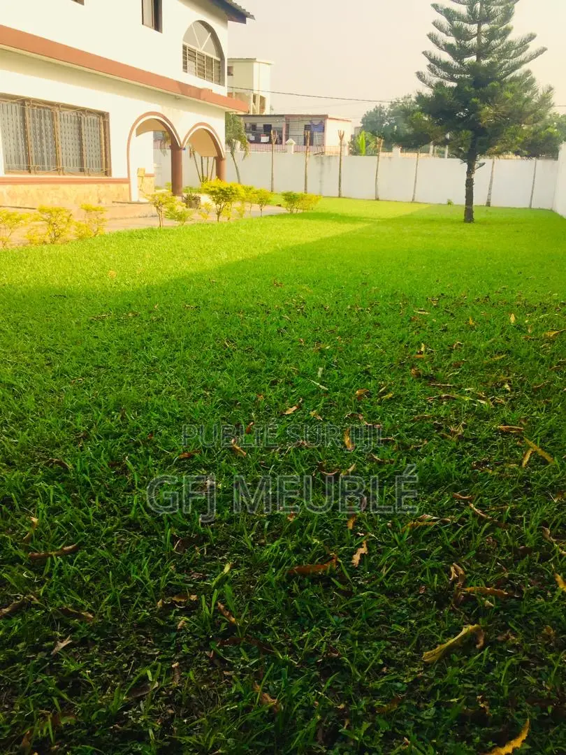 Meublé 4chbre Duplex dans Gfj Meublé, Cocody à Louer