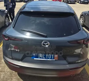 Mazda CX-30 2023 Gris
