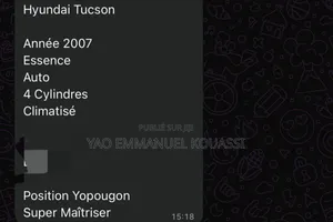 Hyundai Tucson 2007 Gris