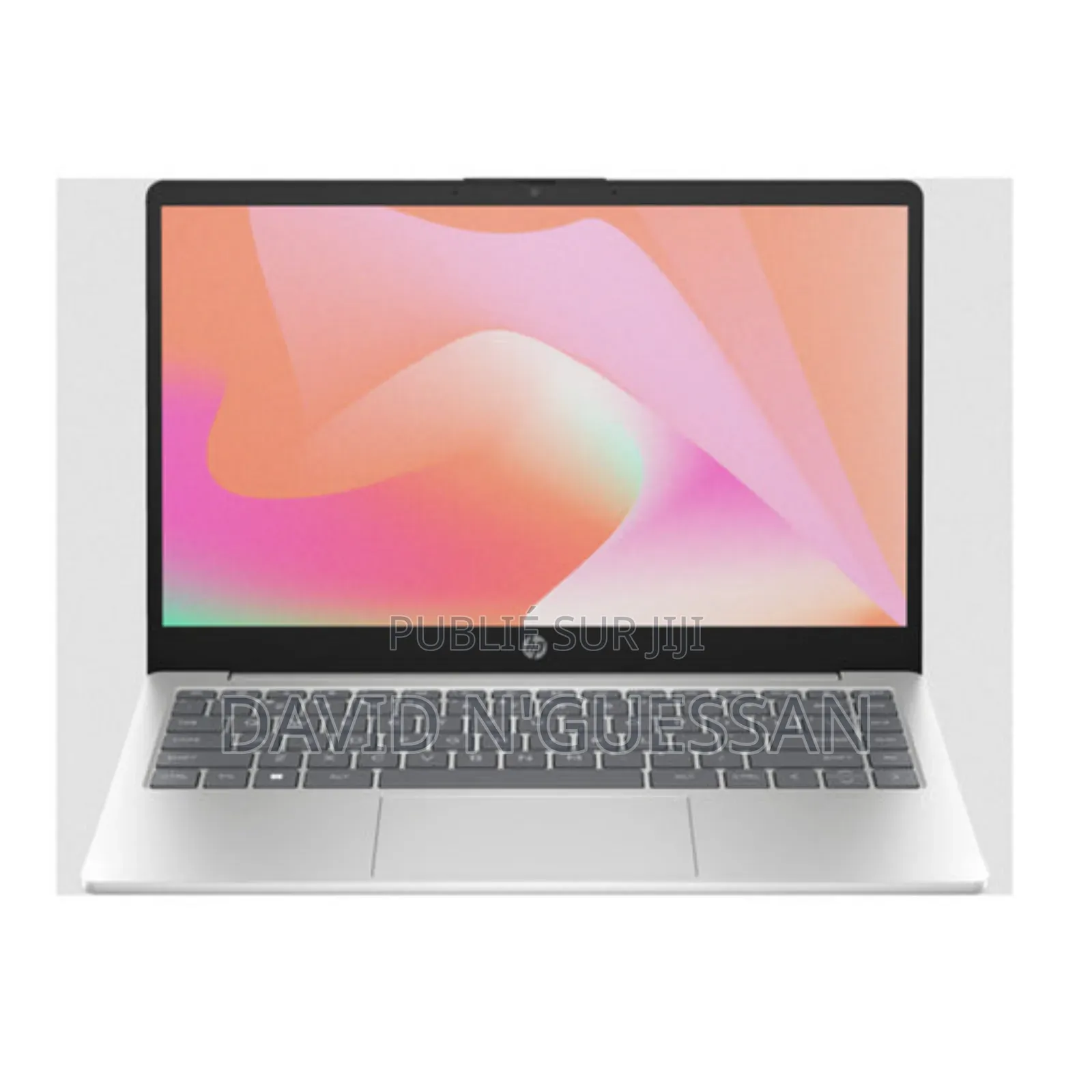 Nouveau Ordinateur portable HP 255 G8 16GB Autre HDD 512GB