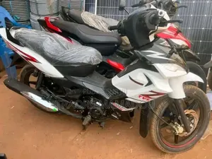 Nouveau TVS King Cargo 2023 Bleu