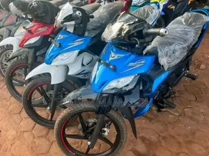 Nouveau TVS King Cargo 2023 Bleu