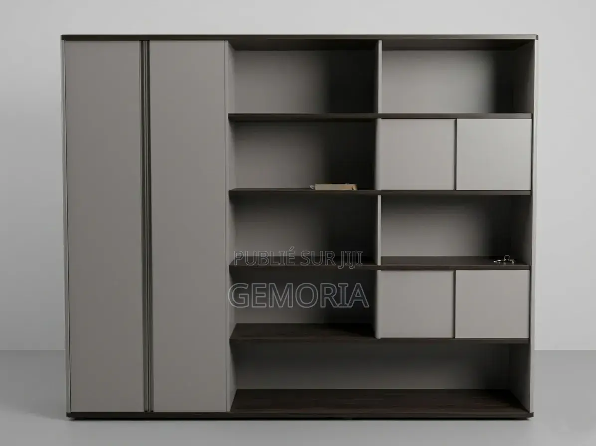 Bibliothèque Moderne Avec Rangements Fermés