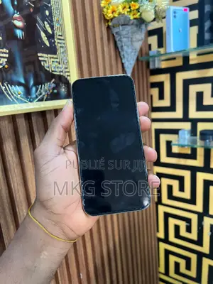 Apple iPhone 16 Pro Max 256 GB Gris