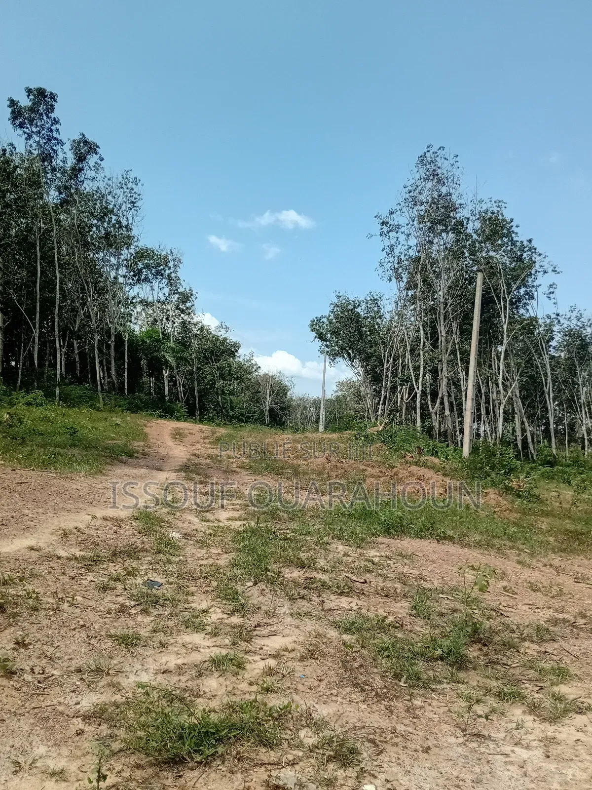 Terrains en Vente