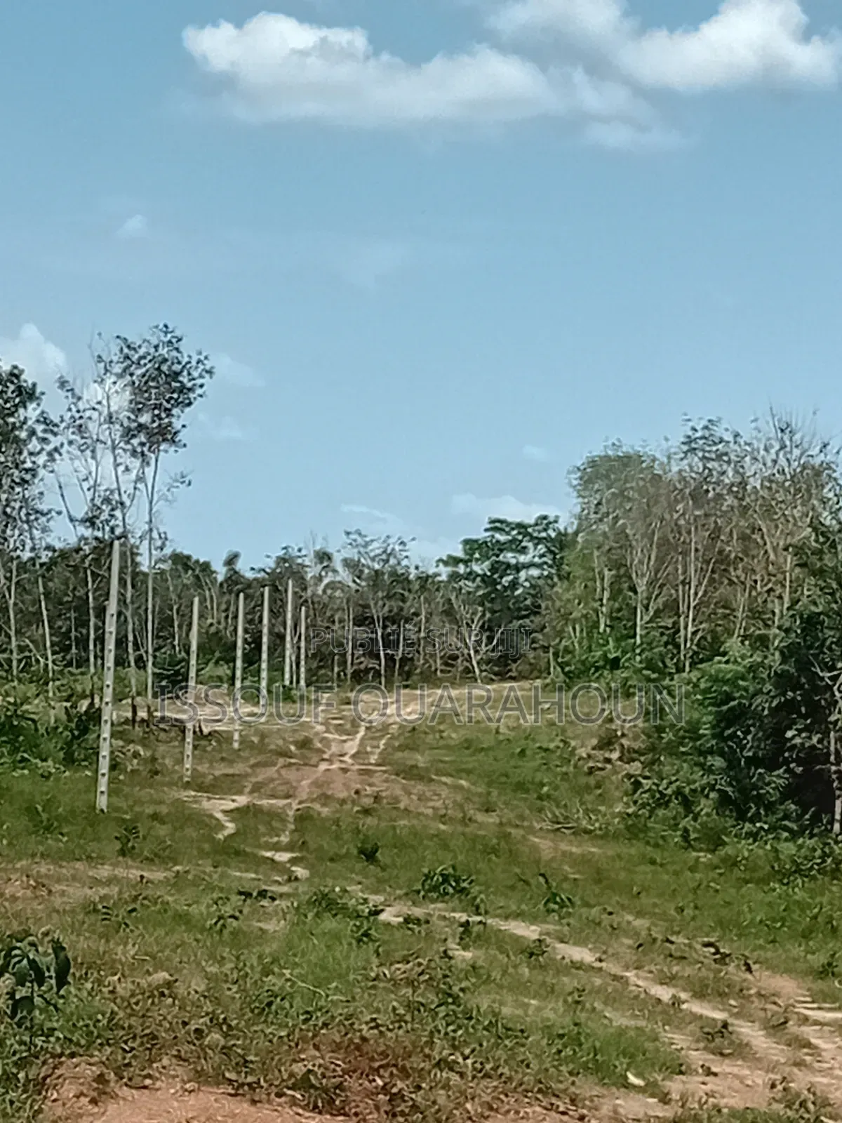 Terrains en Vente