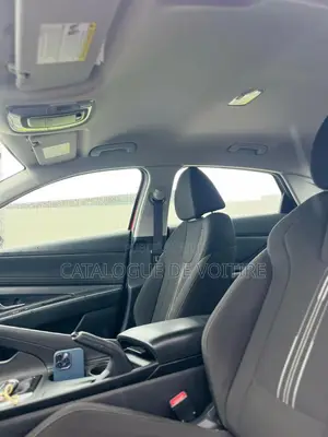 Hyundai Elantra 2021 Rouge
