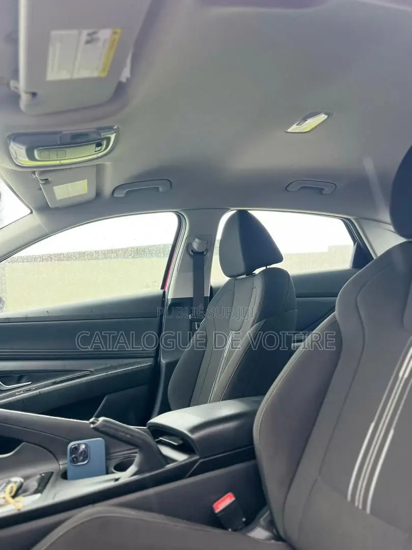 Hyundai Elantra 2021 Rouge