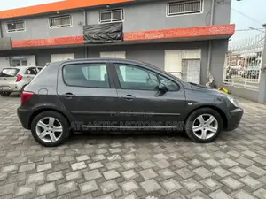 Peugeot 307 1.4 2004 Gris